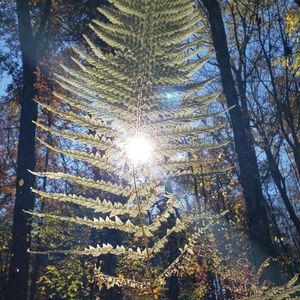 Meet your Posher, Taylor ♡